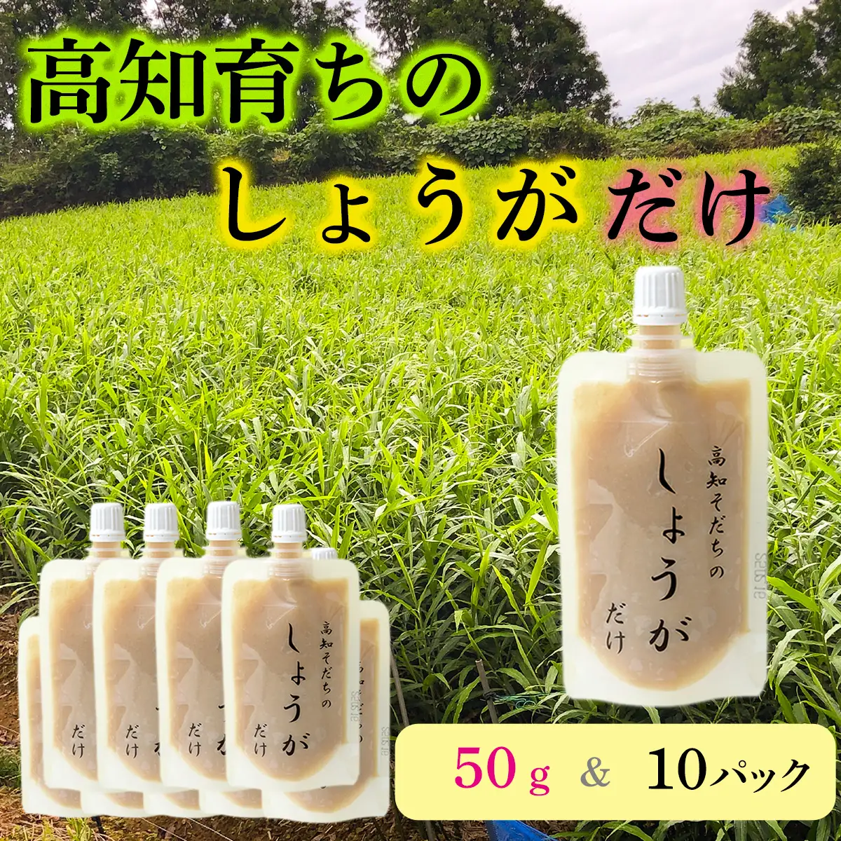 高知そだちのしょうがだけ（50g×10パック）