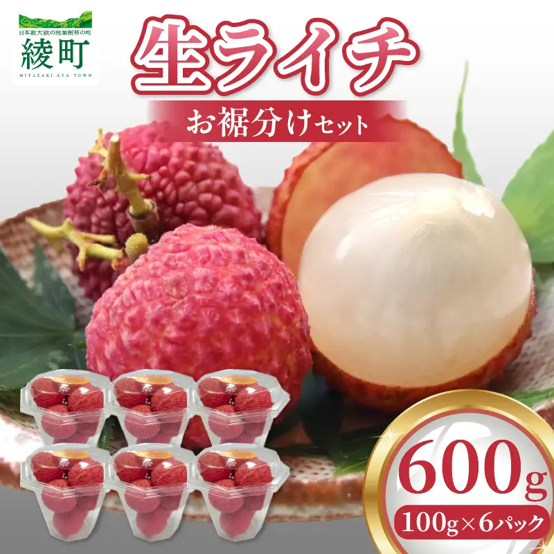 【先行予約】希少 綾生ライチ お裾分けセット （６パック） / 宮崎県産 ライチ 国産【JA綾町】_A0114-1051