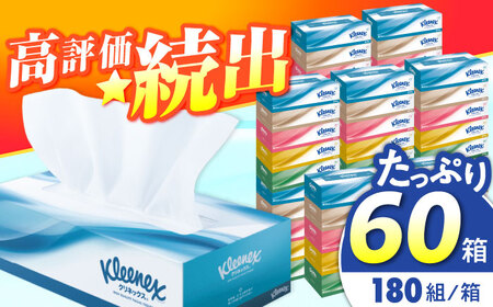 【全3回定期便(2ヵ月に1回)】クリネックス ティシュー 60箱(5箱×12パック ) ティッシュ  [BDBH001-3]