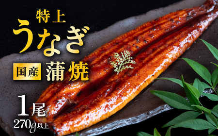 うなぎ 国産 蒲焼き 1尾 270g 特上ウナギ 6月発送