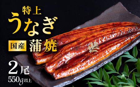 うなぎ 国産 蒲焼き 2尾 550g 特上ウナギ 6月発送 