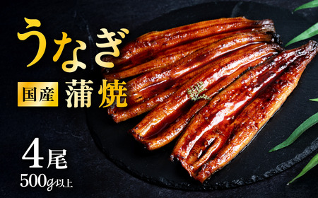 うなぎ 国産 蒲焼き 4尾 500g以上 上うなぎ 6月発送