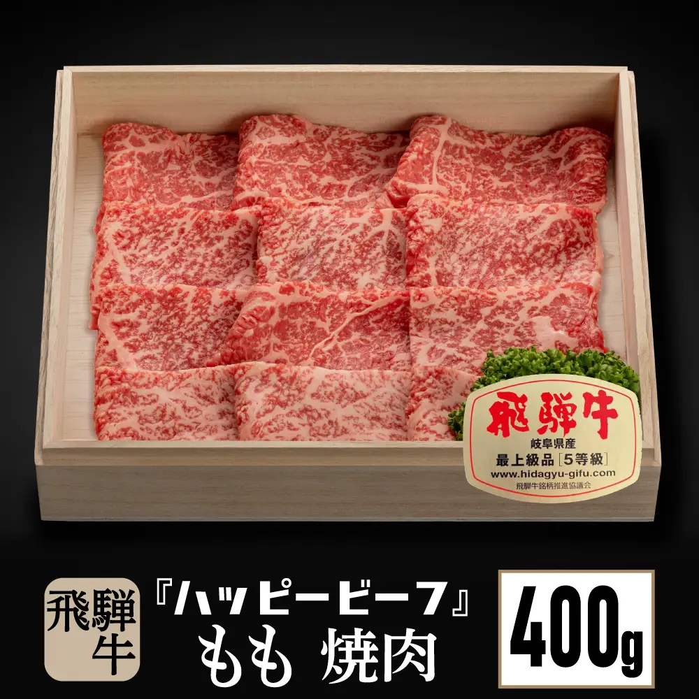 飛騨牛 焼肉 A5等級 もも肉 焼肉 400g JQ021-CP01 FN-Limited-PR