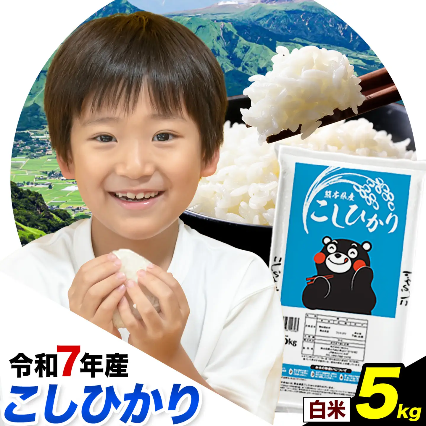 令和7年産 こしひかり 白米  5kg 精米 熊本県産(南阿蘇村産含む)  南阿蘇村《1-5日以内に出荷予定(土日祝除く)》