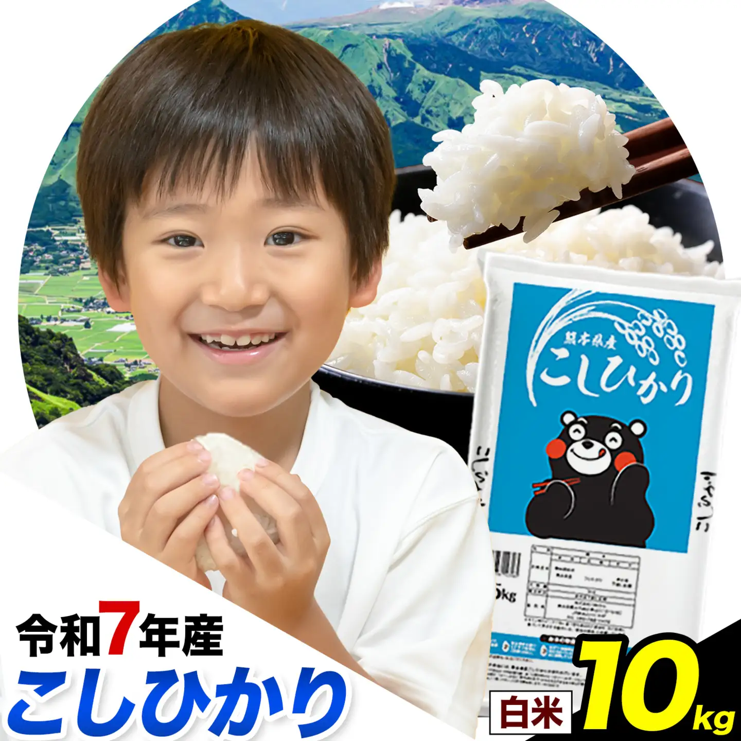 令和7年産 こしひかり 白米 10kg 熊本県産《1-5日以内に出荷予定(土日祝除く)》