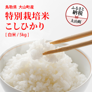 MR-11　減農薬・減化学肥料 特別栽培米こしひかり 5kg（白米）