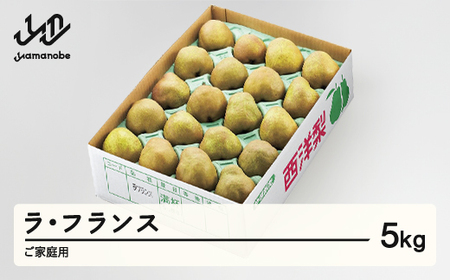 【先行予約】ラ・フランス ご家庭用 約5kg(8~20個程度) 2026年産 洋梨 山形県産 tf-lamxx5