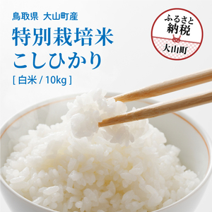 MR-18　減農薬・減化学肥料 特別栽培米こしひかり（白米）新米10kg