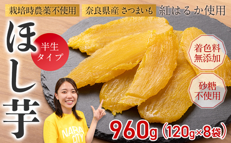 干し芋 （120g×8袋） 紅はるか 芋 10-074