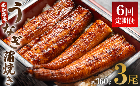うなぎ蒲焼き 120g 3尾 定期便 6回 うなぎ Wun-0029