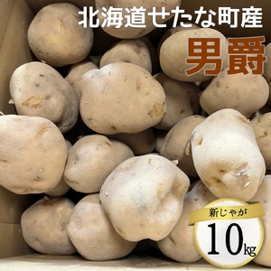 【2026年10下旬から順次発送】【令和8年産】北海道 せたな町産 男爵 10kg 男爵いも 芋 新じゃが じゃがいも 野菜 ふるさと納税