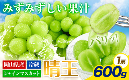 【2026年発送】 シャインマスカット 晴王 600g   ハレノフルーツ シャインマスカット 【配送不可地域あり】