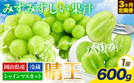 【先行予約】ぶどう 3ヶ月 定期便 シャインマスカット 晴王 600g 岡山県産《7月上旬-9月末頃出荷》 ハレノフルーツ マスカット 送料無料 岡山県 浅口市 フルーツ 果物 国産 岡山県産【配送不可地域あり】（北海道・沖縄・離島）