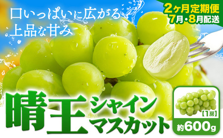 【2ヶ月定期便】ぶどう シャインマスカット 晴王 600g 1房 マスカット岡山《7月上旬-8月末頃出荷》岡山県 浅口市 送料無料 フルーツ 果物 マスカット お取り寄せフルーツ【配送不可地域あり】（北海道・沖縄・離島）