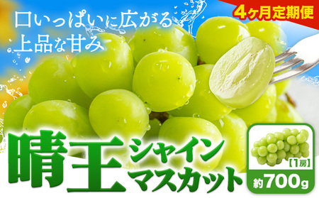 【4ヶ月定期便】ぶどう シャインマスカット 晴王 700g 1房 マスカット岡山《7月上旬-10月末頃出荷》岡山県 浅口市 送料無料 フルーツ 果物 マスカット お取り寄せフルーツ【配送不可地域あり】（北海道・沖縄・離島）