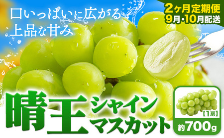 【2ヶ月定期便】ぶどう シャインマスカット 晴王 700g 1房 マスカット岡山《9月上旬-10月末頃出荷》岡山県 浅口市 送料無料 フルーツ 果物 マスカット お取り寄せフルーツ【配送不可地域あり】（北海道・沖縄・離島）