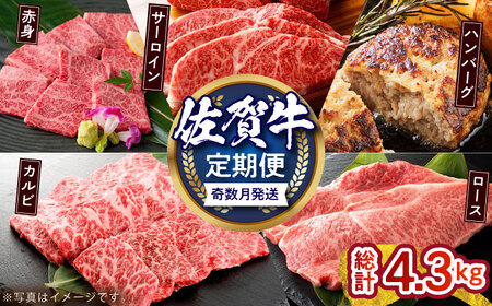 【偶数月発送】佐賀牛リッチセレクション定期便【多久精肉店】HCX007 肉セット 佐賀牛 焼肉 カルビ ロース サーロイン カルビ 赤身 ハンバーグ ステーキ 焼肉