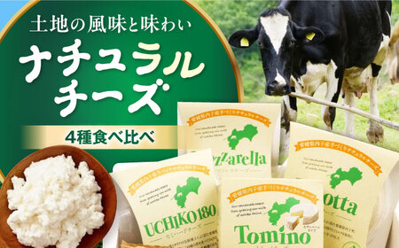 ナチュラルチーズ詰め合わせ モッツァレラチーズ リコッタチーズ BKAH001