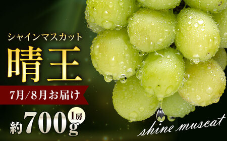 ぶどう シャインマスカット 晴王 700g 1房 彩美菜果《7月上旬-9月中旬頃出荷》 マスカット 送料無料 岡山県 浅口市 フルーツ 果物 贈り物 国産 岡山県産 くだもの 果物 青果物 7月～8月発送 【配送不可地域あり】（北海道・沖縄・離島）