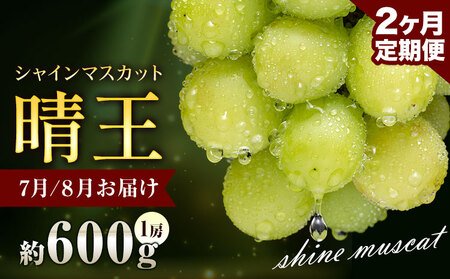 【先行予約】ぶどう シャインマスカット 晴王 600g 1房 2ヶ月定期便 彩美菜果《7月上旬-8月末頃出荷》 マスカット 送料無料 岡山県 浅口市 フルーツ 果物 贈り物 国産 岡山県産 くだもの 果物 7月 8月発送 【配送不可地域あり】（北海道・沖縄・離島）