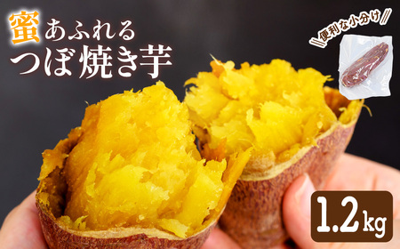 つぼ焼き芋(計1.2kg・約6本入) 焼き芋 さつまいも スイーツ 国産 蜜芋 デザート【uj-EC001】【つぼ焼き芋 SoGa屋】