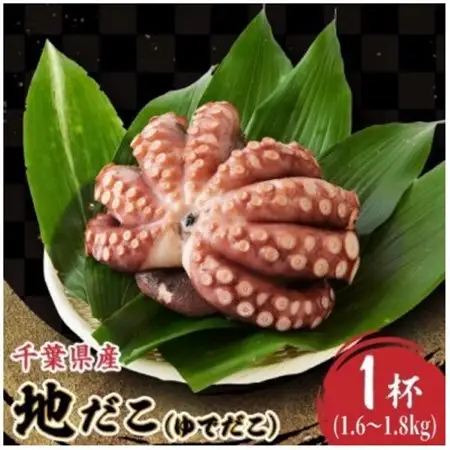 地だこ　1杯(1.6kg～1.8kg)_魚介・海産物 タコ  たこ 蛸_【配送不可地域：離島】【1566855】