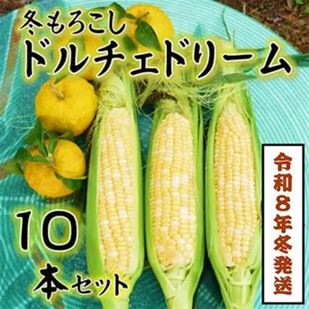 【令和8年11月より順次発行】先行受付　朝採り「冬もろこし」「ドルチェドリーム」10本以上　約5キロ【配送不可地域：離島・北海道・沖縄県・中国・四国・九州】【1570054】