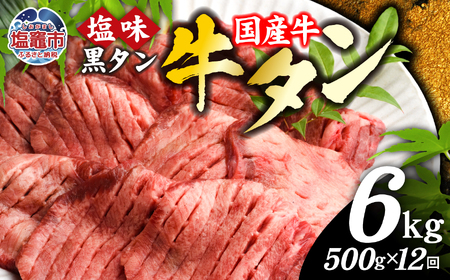 牛タン 定期便12回 国産 500g × 12ヶ月 計6kg sm00010-12