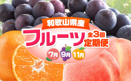 人気フルーツ全3回定期便（7月・9月・11月）定期便 フルーツ