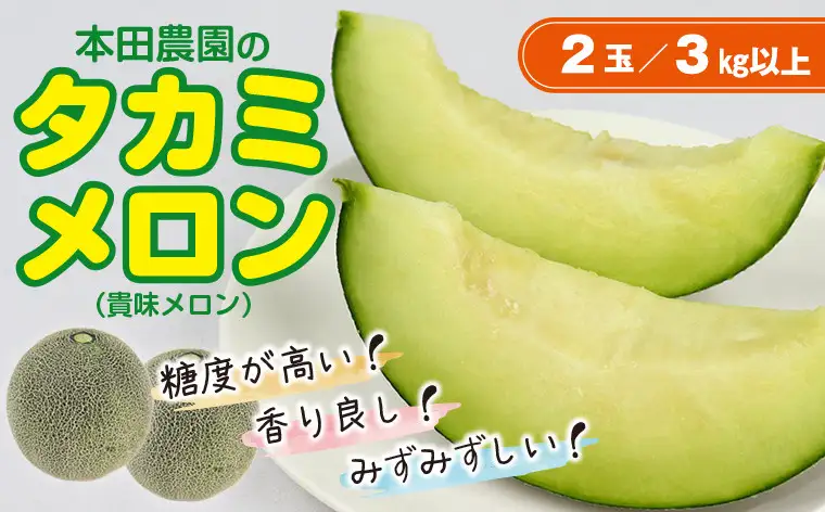 タカミメロン2玉（3kg以上）【6月中旬～7月中旬頃に発送】　本田農園