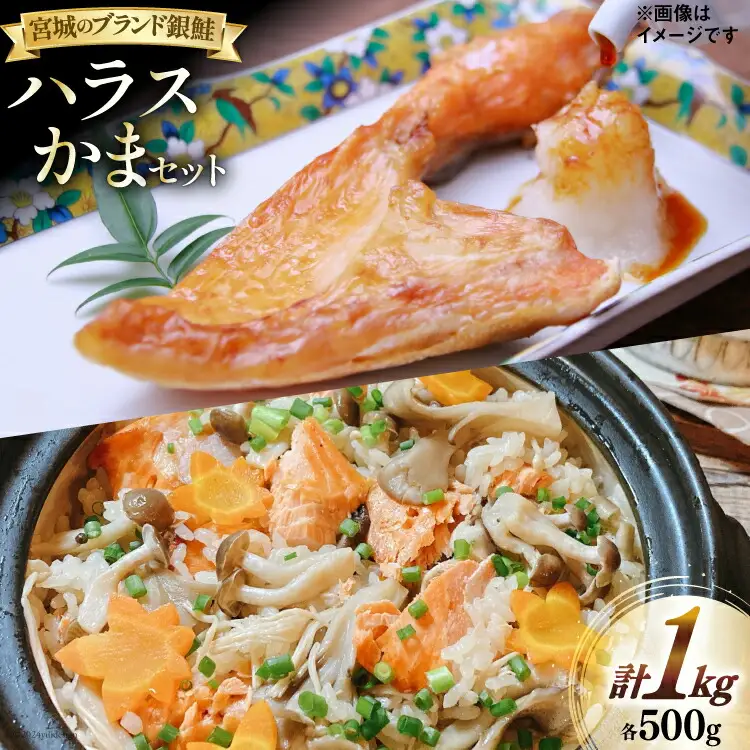 鮭 銀鮭 ハラス かま セット 各500g 計 1kg [南三陸さんさんマルシェ 宮城県 南三陸町 30ai0053]