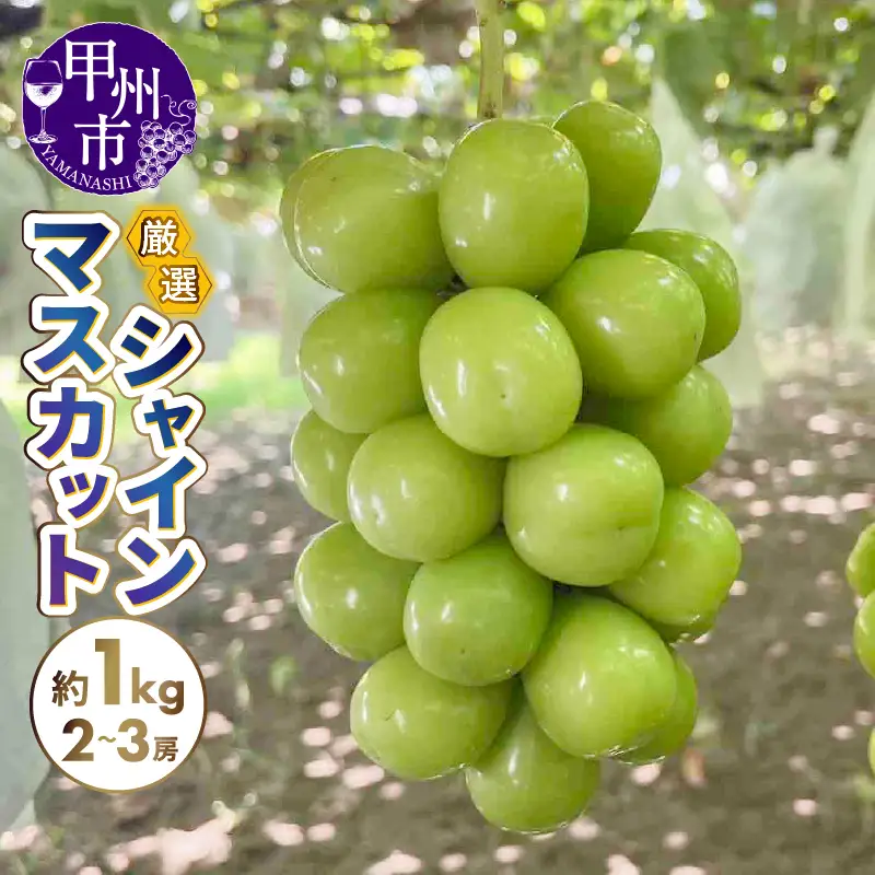厳選シャインマスカット 約1kg（2～3房）【2026年発送】（SFN）A09-1010 シャインマスカット フルーツ