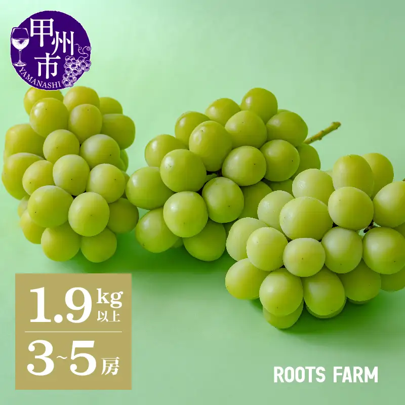 【数量限定】高品質なROOTS FARMシャインマスカット 1.9kg以上 3～5房入【2026年発送】（RO）C1-135 シャインマスカット フルーツ