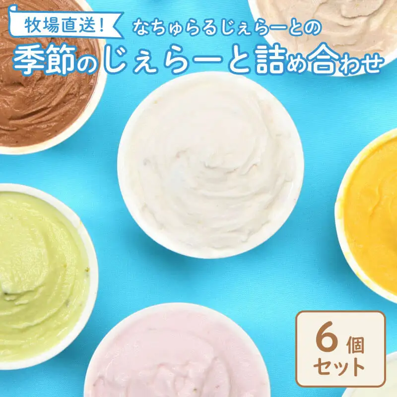 濃厚ミルクアイス 6個セット アイスクリーム 搾りたて牛乳アイス ピスタチオ ジェラート こだわりアイス スイーツ ギフト nakano001