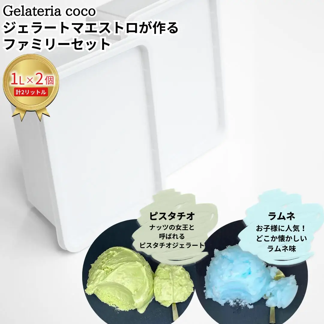 ジェラートマエストロが作るファミリーセット 1L×2 合計2L[ピスタチオ・ラムネ] ジェラート アイス 大容量 ファミリーパック 添加物不使用 [Gelateria coco]【017S095】