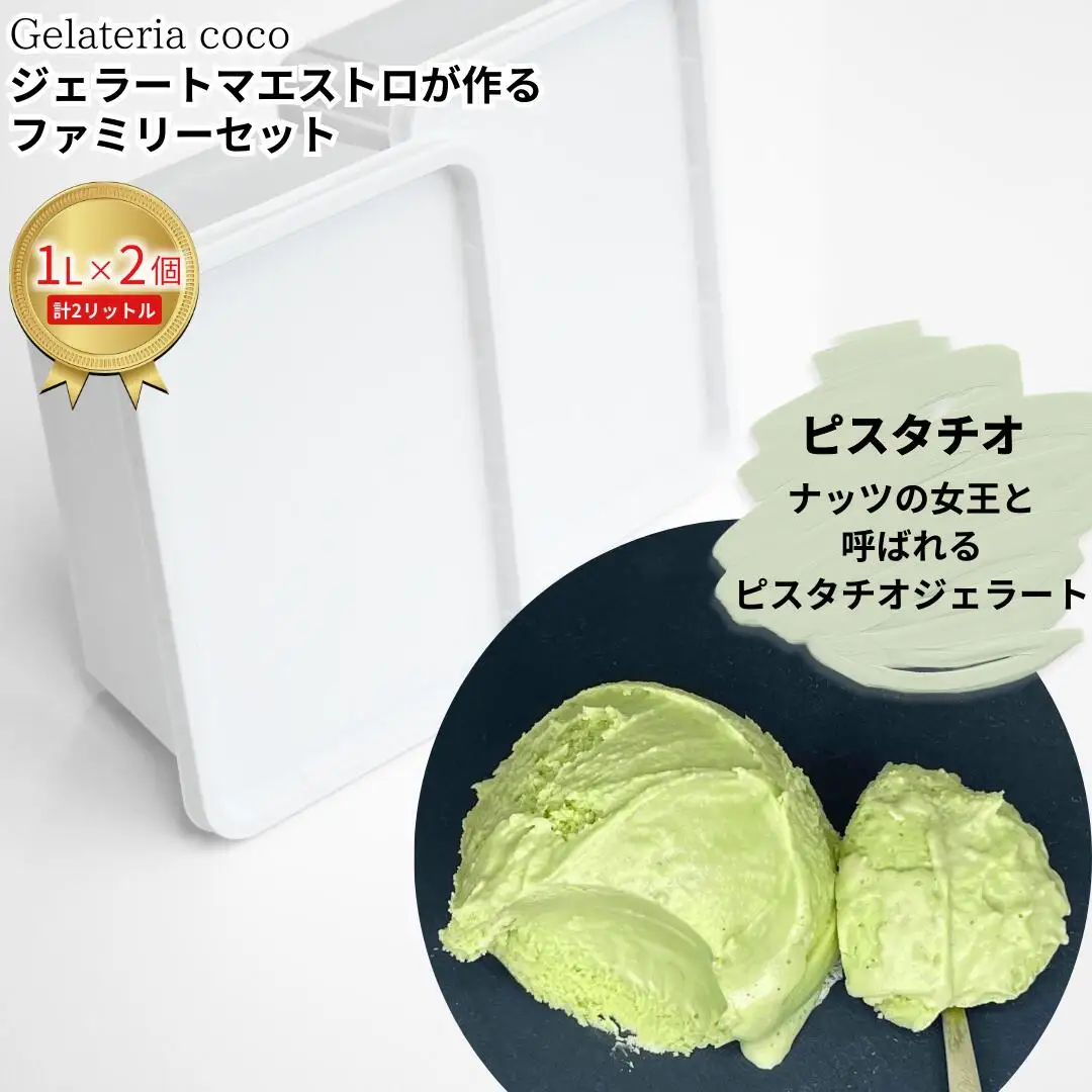 ジェラートマエストロが作るファミリーセット 1L×2 合計2L[ピスタチオ×2] ジェラート アイス 大容量 ファミリーパック 添加物不使用 [Gelateria coco]【017S097】