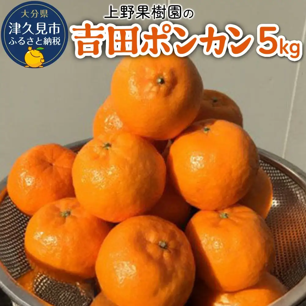 上野果樹園の吉田 ポンカン 5kg | ポンカン 津久見市