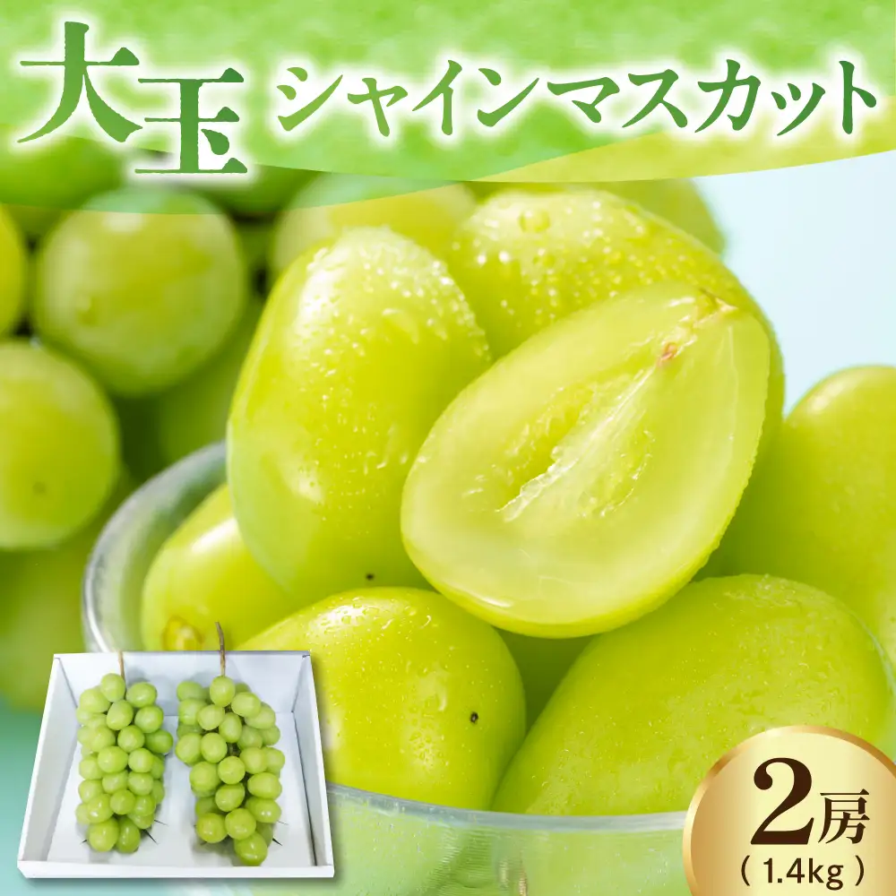【先行予約】 【数量限定】 令和8年産 大玉 シャインマスカット 2房 1.4kg 2026年9月上旬頃～お届け予定