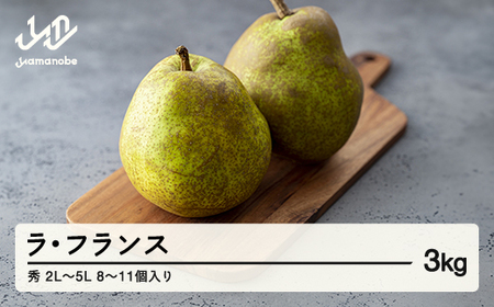 《先行予約》山形県産 ラ・フランス 秀 2L〜5L 約3kg (8~11個入り) 2026年産 ラフランス 洋梨 ※沖縄・離島への配送不可 nf-lasyx3