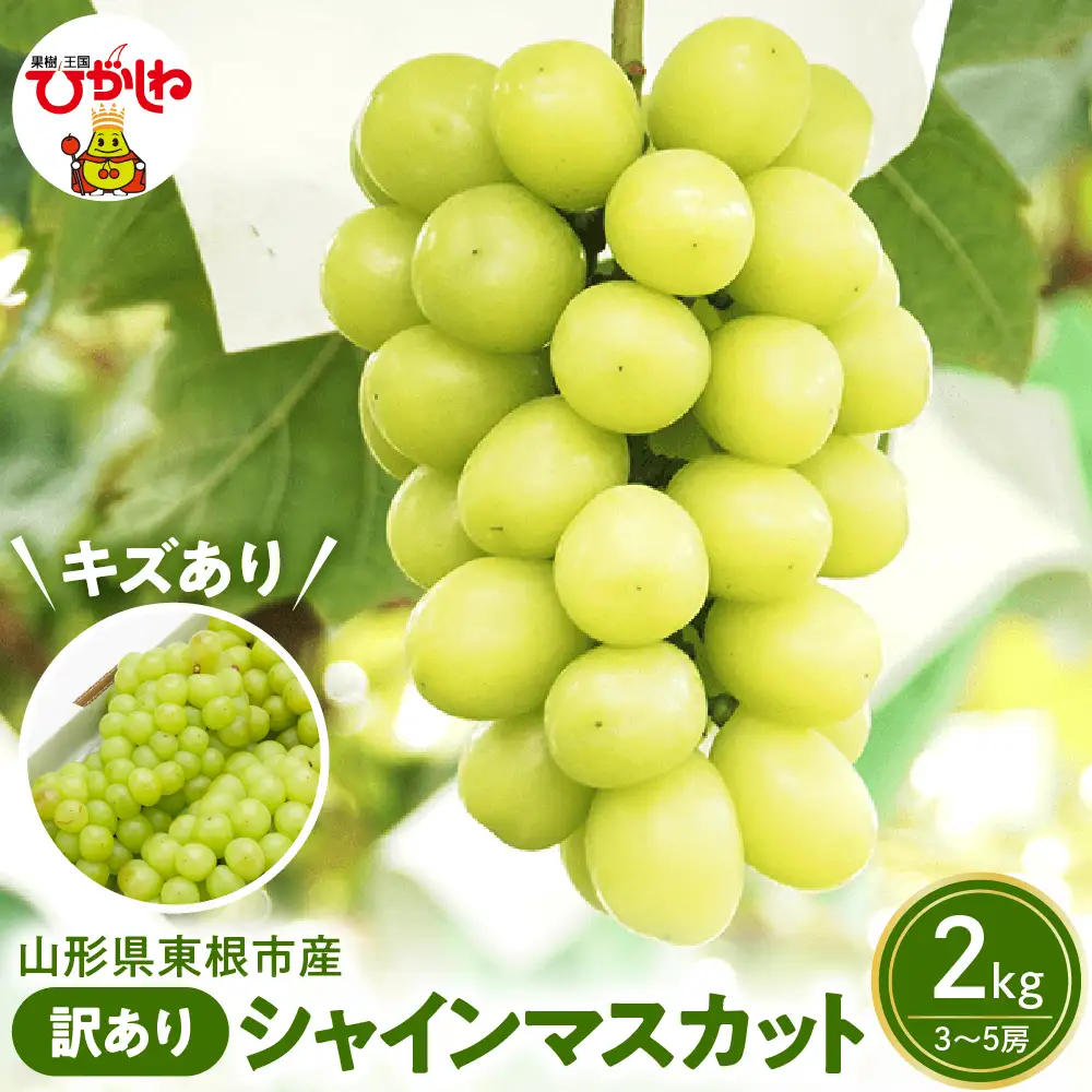 【2026年産】ぶどう訳ありシャインマスカット2kg（3～5房）ぶどう