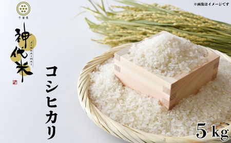 神代米（コシヒカリ）　精白米　5kg ／ 米 こめ コメ ごはん ご飯 コシヒカリ こしひかり 令和7年産 精米 5kg 送料無料