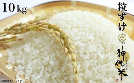 神代米（粒すけ）　精白米　10kg ／ 米 こめ コメ ごはん ご飯 神代米 粒すけ 令和7年産 精米 10kg 送料無料