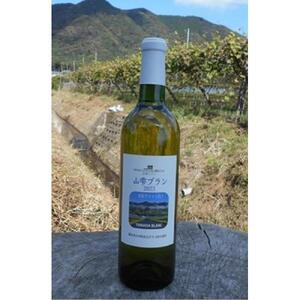 山雫ブラン：地元産ぶどう100％使用した白ワイン（720ml）【お酒 さけ 人気 おすすめ  ギフト】