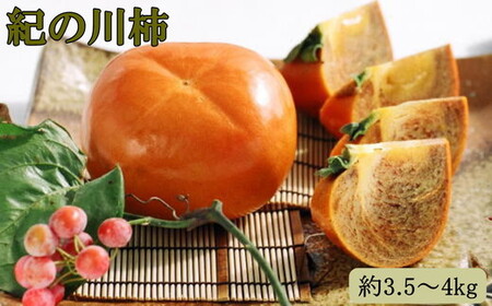 【希少】紀の川柿(種無し)約3.5～4kg・秀品 ｜柿 カキ フルーツ 果物 和歌山 先行予約 かき たねなし  国産 産地直送 美浜町