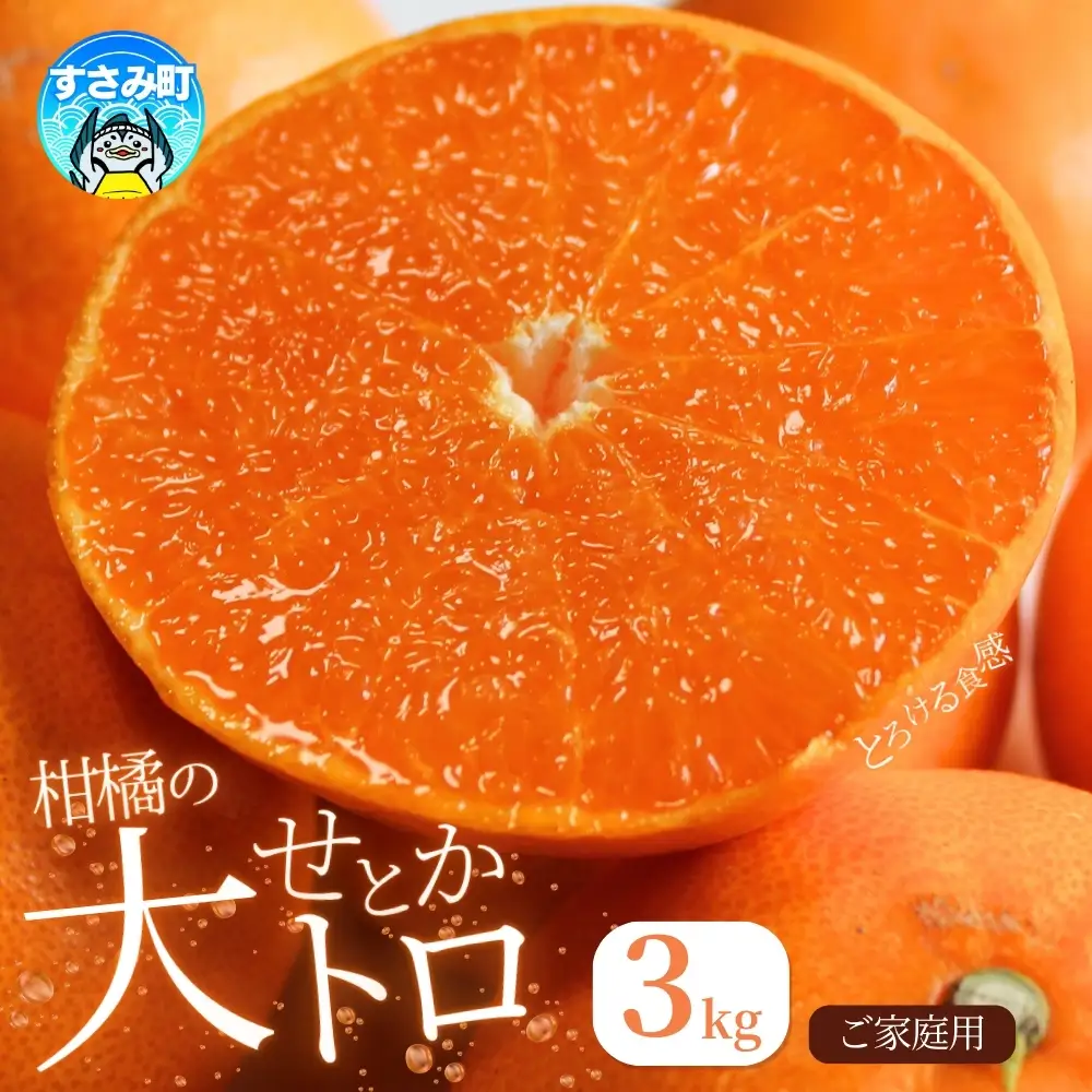 【ご家庭用】とろける食感！せとか 約3kg 【予約】【uot834A】