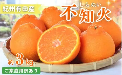 【ご家庭用訳あり】 紀州 有田産 不知火 (しらぬひ) 3kg 【予約】/ みかん 柑橘 果物 フルーツ 和歌山 ※2027年2月中旬頃〜3月中旬頃に順次発送予定(お届け日指定不可) ※離島への配送不可 【uot830A】