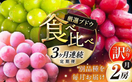 自宅用【2026年先行予約】3回/定期便 ぶどう 葡萄 ブドウ 3品種 各2房 フルーツ 果物 くだもの[AIAB011]