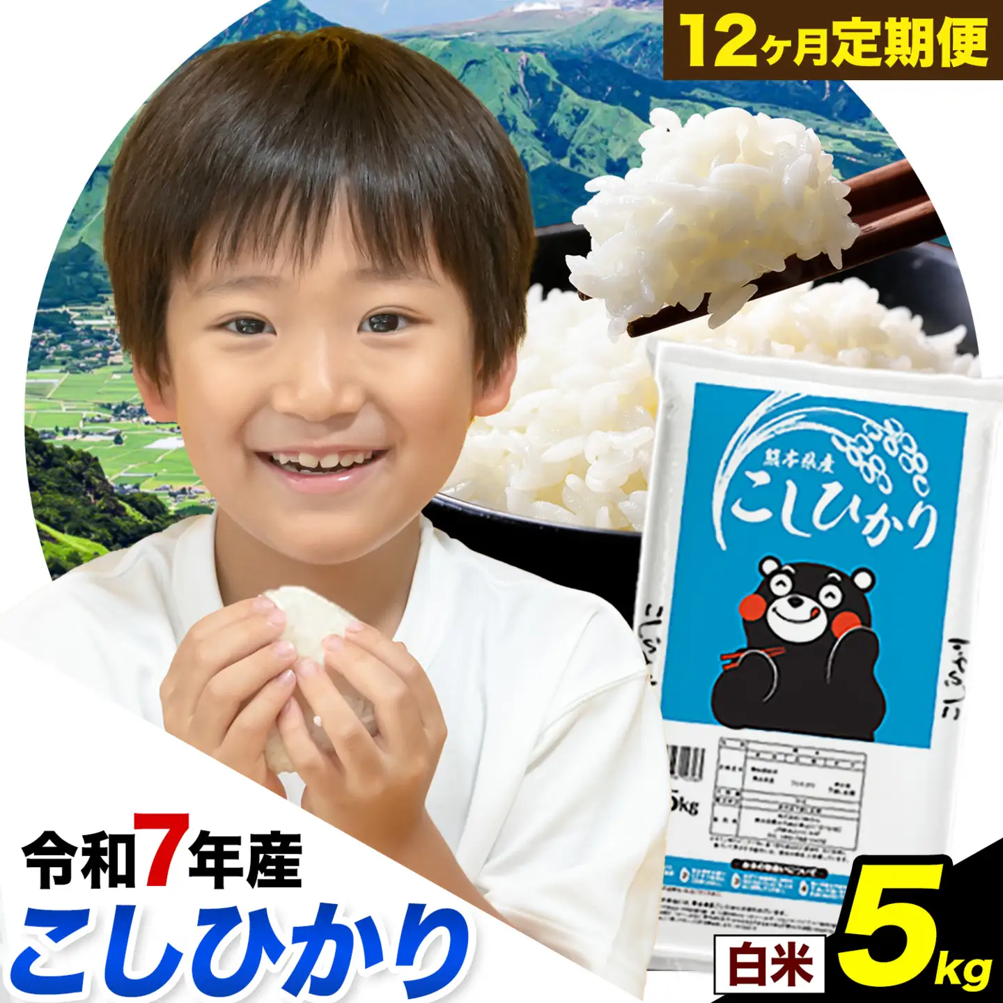 【12回定期便】白米 こしひかり5kg 定期便 精米 《お申込み翌月から出荷》