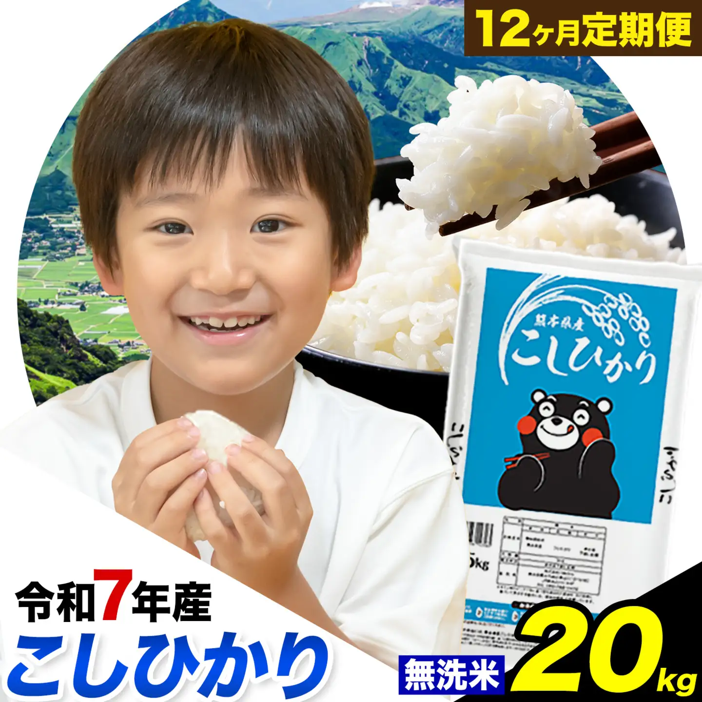 【12ヶ月定期便】 令和7年産 定期便 こしひかり 無洗米 定期便 20kg 精米 熊本県産(南阿蘇村産含む)  南阿蘇村《お申込み翌月から出荷》｜人気米 熊本県産米  生活応援米