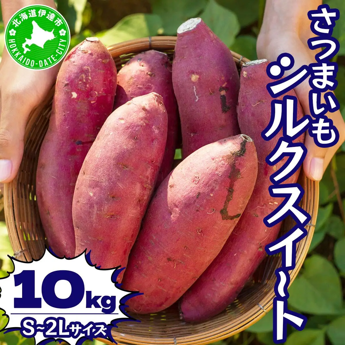 [5525-1151]北海道 伊達 さつまいも シルクスイート 10kg 熟成 高糖度 サツマイモ 芋 甘い スイートヤバ芋 産地直送